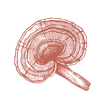 Vrnite se k tradiciji in okrepite svoj imunski sistem