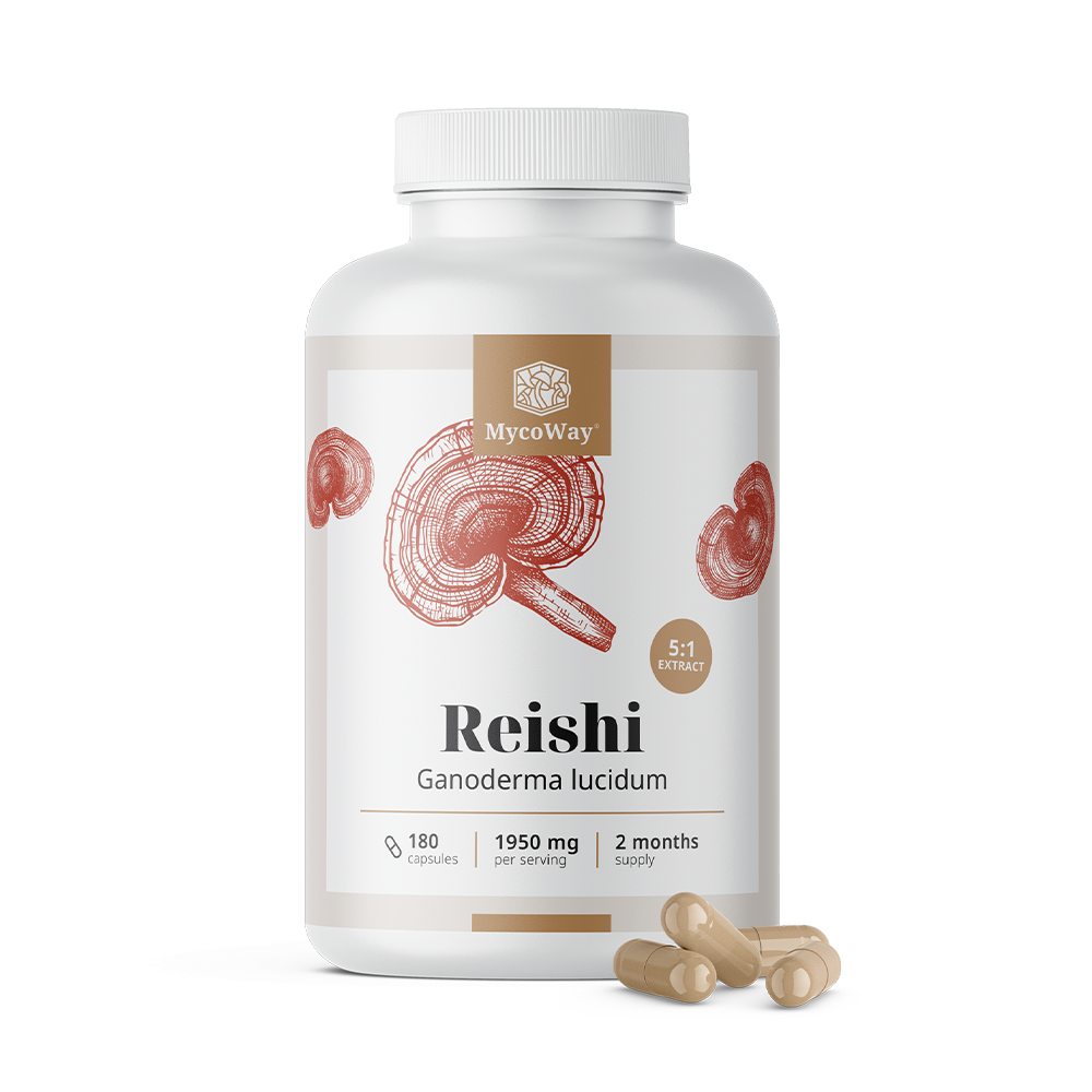 Reishi 1950 mg – izvleček 5:1