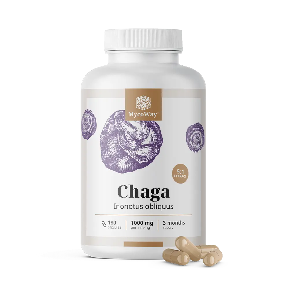 Chaga 1000 mg – izvleček 5:1