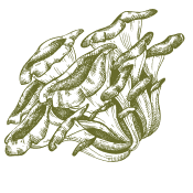 Okrepite se na naraven način