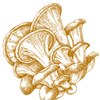 Edinstvena naravna podpora za krepitev telesa in uma