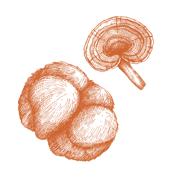 Moč in energija iz narave