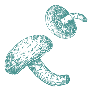 Večtisočleta tradicija za podporo telesa