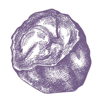 Skrivnost narave za uravnoteženo življenje