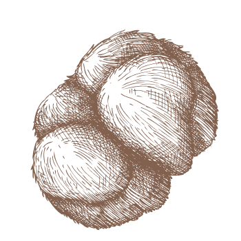 Vsestranska podpora za dneve polne izzivov