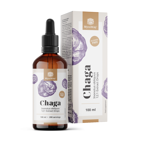 Chaga – izvleček v kapljicah, 100 ml